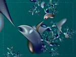 Dolphins_Det