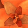 StoneFlower1